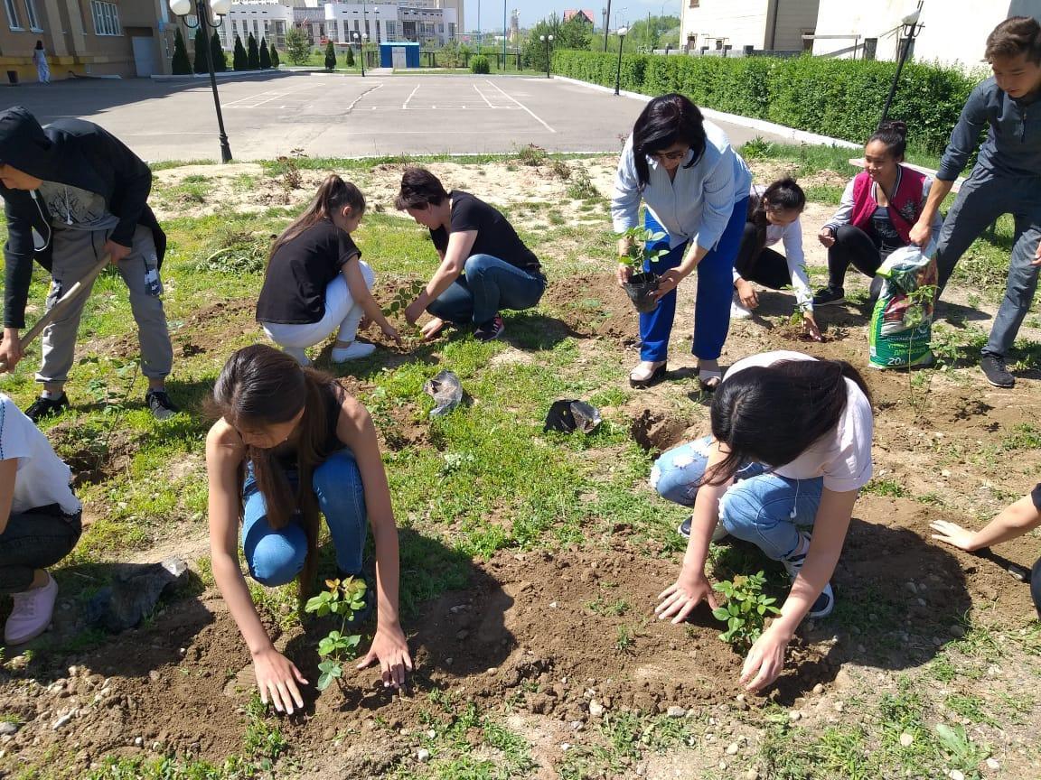 Мектеп алдын көгалдандыру