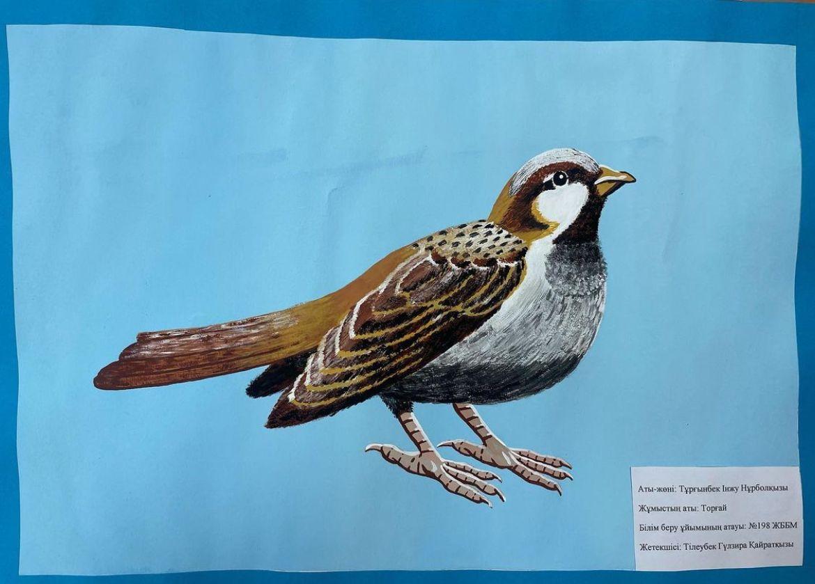 "Алматының  қыстап қалған құстары"  атты  тақырыпта  мектепшілік  байқауы.